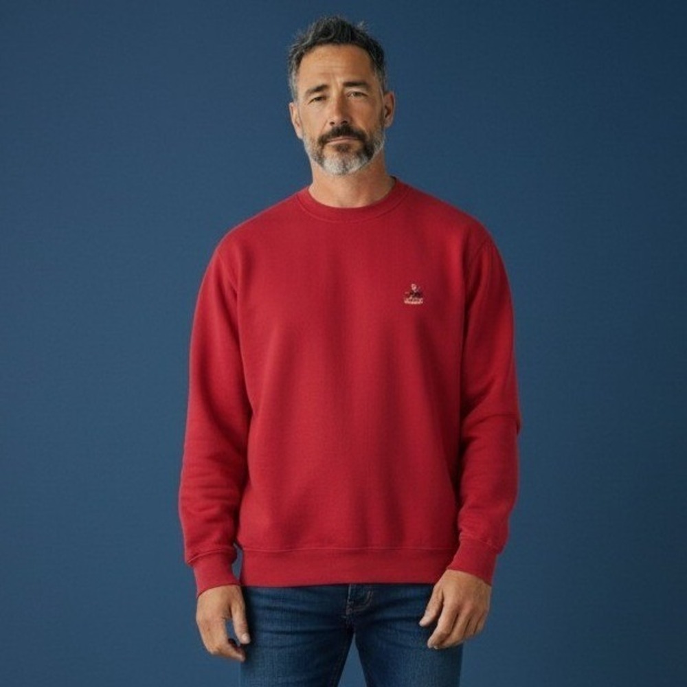 Faconnable Albert Goldberg Mens Red Crewneck Sweatshirt Large Bird Logo Raglan